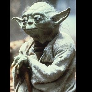 Meet your Posher, Tavis